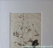 Load image into Gallery viewer, SCOTTISH ART: Katherine (Kate) Cameron (1874- 1965). Large 1920s Etching with Butterflies and Harebells. SIGNED

