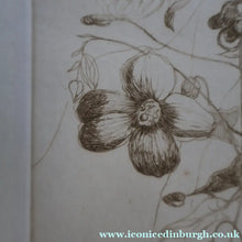 Load image into Gallery viewer, SCOTTISH ART: Katherine (Kate) Cameron (1874- 1965). Large 1920s Etching with Butterflies and Harebells. SIGNED
