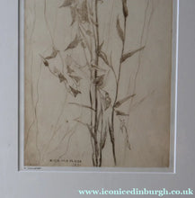 Load image into Gallery viewer, SCOTTISH ART: Katherine (Kate) Cameron (1874- 1965). Large 1920s Etching with Butterflies and Harebells. SIGNED
