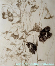 Load image into Gallery viewer, SCOTTISH ART: Katherine (Kate) Cameron (1874- 1965). Large 1920s Etching with Butterflies and Harebells. SIGNED
