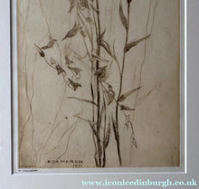 Load image into Gallery viewer, SCOTTISH ART: Katherine (Kate) Cameron (1874- 1965). Large 1920s Etching with Butterflies and Harebells. SIGNED
