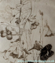 Load image into Gallery viewer, SCOTTISH ART: Katherine (Kate) Cameron (1874- 1965). Large 1920s Etching with Butterflies and Harebells. SIGNED
