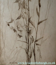 Load image into Gallery viewer, SCOTTISH ART: Katherine (Kate) Cameron (1874- 1965). Large 1920s Etching with Butterflies and Harebells. SIGNED
