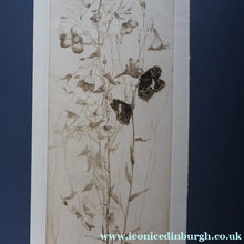 Load image into Gallery viewer, SCOTTISH ART: Katherine (Kate) Cameron (1874- 1965). Large 1920s Etching with Butterflies and Harebells. SIGNED
