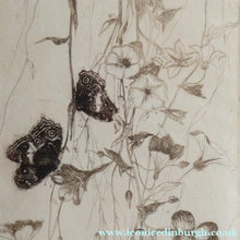 Load image into Gallery viewer, SCOTTISH ART: Katherine (Kate) Cameron (1874- 1965). Large 1920s Etching with Butterflies and Harebells. SIGNED
