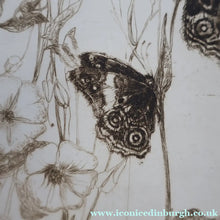 Load image into Gallery viewer, SCOTTISH ART: Katherine (Kate) Cameron (1874- 1965). Large 1920s Etching with Butterflies and Harebells. SIGNED
