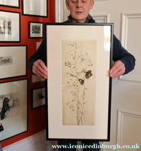 Load image into Gallery viewer, SCOTTISH ART: Katherine (Kate) Cameron (1874- 1965). Large 1920s Etching with Butterflies and Harebells. SIGNED
