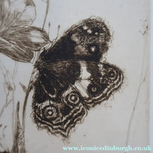 Load image into Gallery viewer, SCOTTISH ART: Katherine (Kate) Cameron (1874- 1965). Large 1920s Etching with Butterflies and Harebells. SIGNED
