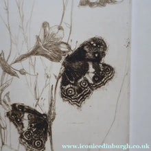 Load image into Gallery viewer, SCOTTISH ART: Katherine (Kate) Cameron (1874- 1965). Large 1920s Etching with Butterflies and Harebells. SIGNED
