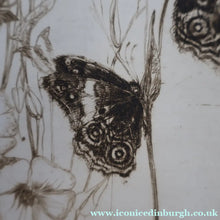 Load image into Gallery viewer, SCOTTISH ART: Katherine (Kate) Cameron (1874- 1965). Large 1920s Etching with Butterflies and Harebells. SIGNED

