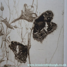 Load image into Gallery viewer, SCOTTISH ART: Katherine (Kate) Cameron (1874- 1965). Large 1920s Etching with Butterflies and Harebells. SIGNED
