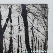Load image into Gallery viewer, Norman McBeath Artist's Proof Photogravure. Trees in a Wood Signed
