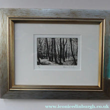 Load image into Gallery viewer, Norman McBeath Artist's Proof Photogravure. Trees in a Wood Signed
