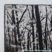 Load image into Gallery viewer, Norman McBeath Artist's Proof Photogravure. Trees in a Wood Signed
