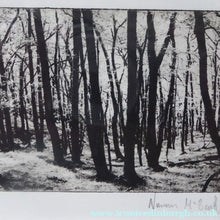 Load image into Gallery viewer, Norman McBeath Artist's Proof Photogravure. Trees in a Wood Signed
