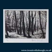 Load image into Gallery viewer, Contemporary SCOTTISH ART. Norman McBeath, RSA. Original Photogravure print. Artist's proof. Trees. SIGNED in pencil
