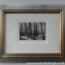 Load image into Gallery viewer, Norman McBeath Artist's Proof Photogravure. Trees in a Wood Signed
