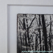 Load image into Gallery viewer, Norman McBeath Artist's Proof Photogravure. Trees in a Wood Signed
