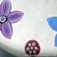 Load image into Gallery viewer, SCOTTISH Borders Fine Art Glass (Holmes Glass) Paperweight. Signed Andrew Holmes
