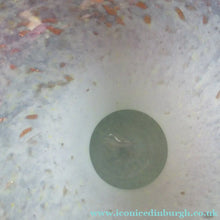 Load image into Gallery viewer, 1950s Scottish Glass Vase. Signed Vasart 
