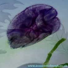 Load image into Gallery viewer, Fine Caithness Glass Bowl; etched thistles &amp; floral design. Bank of Scotland Tercentenary 1995
