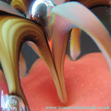 Load image into Gallery viewer, Paul Ysart H Cane Harland Fountain Scottish Paperweight
