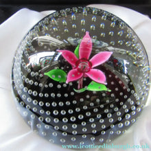 Load image into Gallery viewer, 1970s Scottish Caithness Glass Paperweight Flower in the Rain
