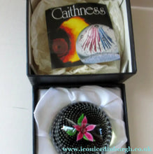 Load image into Gallery viewer, 1970s Scottish Caithness Glass Paperweight Flower in the Rain
