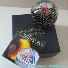 Load image into Gallery viewer, 1970s Scottish Caithness Glass Paperweight Flower in the Rain
