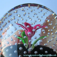 Load image into Gallery viewer, SCOTTISH GLASS. Vintage 1970s Caithness Glass Paperweight Entitled ’Flower in the Rain’ PINK Flower (Boxed)
