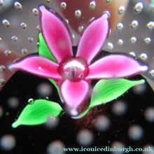 Load image into Gallery viewer, 1970s Scottish Caithness Glass Paperweight Flower in the Rain
