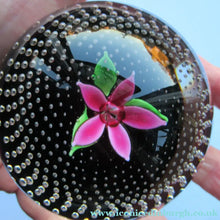 Load image into Gallery viewer, SCOTTISH GLASS. Vintage 1970s Caithness Glass Paperweight Entitled ’Flower in the Rain’ PINK Flower (Boxed)
