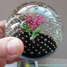 Load image into Gallery viewer, 1970s Scottish Caithness Glass Paperweight Flower in the Rain
