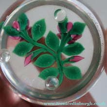 Load image into Gallery viewer, SCOTTISH Limited Edition  (1/10) 2014 Lampwork Paperweight. Pink Roses Design by William Manson Jnr. Signed to the side
