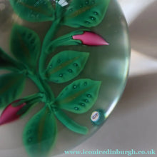 Load image into Gallery viewer, SCOTTISH Limited Edition  (1/10) 2014 Lampwork Paperweight. Pink Roses Design by William Manson Jnr. Signed to the side

