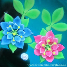 Load image into Gallery viewer, 1992 Lampwork Caithness Paperweight 1992 William Manzon Rose Garland
