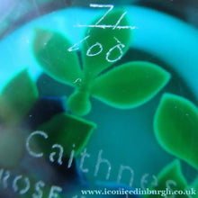 Load image into Gallery viewer, 1992 Lampwork Caithness Paperweight 1992 William Manzon Rose Garland
