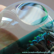 Load image into Gallery viewer, 1992 Lampwork Caithness Paperweight 1992 William Manzon Rose Garland
