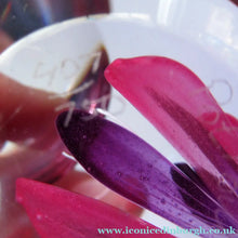 Load image into Gallery viewer, Margot Thompson Pot Pourri Scottish Caithness Glass Paperweight 1990
