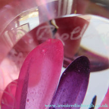 Load image into Gallery viewer, Margot Thompson Pot Pourri Scottish Caithness Glass Paperweight 1990

