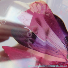 Load image into Gallery viewer, Margot Thompson Pot Pourri Scottish Caithness Glass Paperweight 1990
