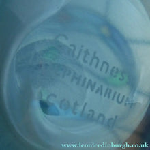 Load image into Gallery viewer, Scottish Caithness Paperweight Helen Macdonald Dolpinarium Dolphins 1990s
