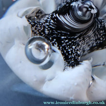 Load image into Gallery viewer, SCOTTISH PAPERWEIGHT: Vintage Caithness Paperweight: MOONFLOWER by Colin Terris. White Version
