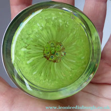 Load image into Gallery viewer, Scottish PERTHSHIRE Paperweight. Pea Green Ground, 11 Spokes &amp; Millefiori Canes. P Cane in Center
