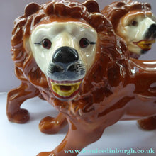 Load image into Gallery viewer, ANTIQUE PAIR of Victorian Standing Staffordshire Style Bo'ness Lions. Large &amp; Substantial Pair in Excellent Condition
