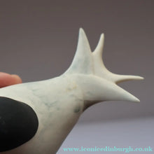 Load image into Gallery viewer, Scottish Pottery. 1970s Arran Pottery Birds. A Gannet and an Artic Tern - Scottish Pottery
