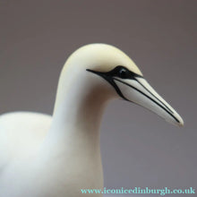 Load image into Gallery viewer, Scottish Pottery. 1970s Arran Pottery Birds. A Gannet and an Artic Tern - Scottish Pottery
