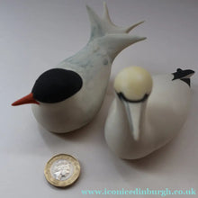 Load image into Gallery viewer, Scottish Pottery. 1970s Arran Pottery Birds. A Gannet and an Artic Tern - Scottish Pottery
