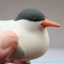 Load image into Gallery viewer, Scottish Pottery. 1970s Arran Pottery Birds. A Gannet and an Artic Tern - Scottish Pottery
