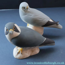 Load image into Gallery viewer, SCOTTISH POTTERY. Alasdair Dunn of Arran. Collectable 1970s Vintage Porcelain Models of a Peregrine Falcon and a Hen Harrier

